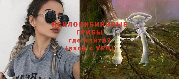 бошки Абдулино