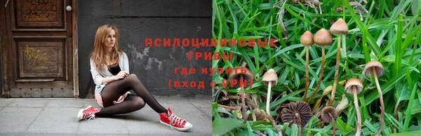 герыч Абинск