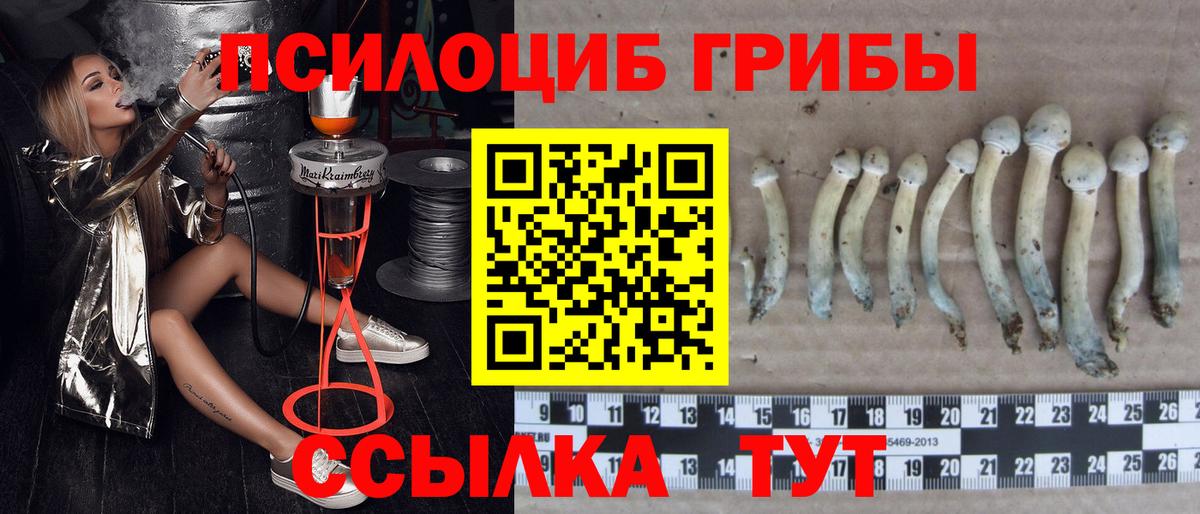 Псилоцибиновые грибы прущие грибы Энгельс