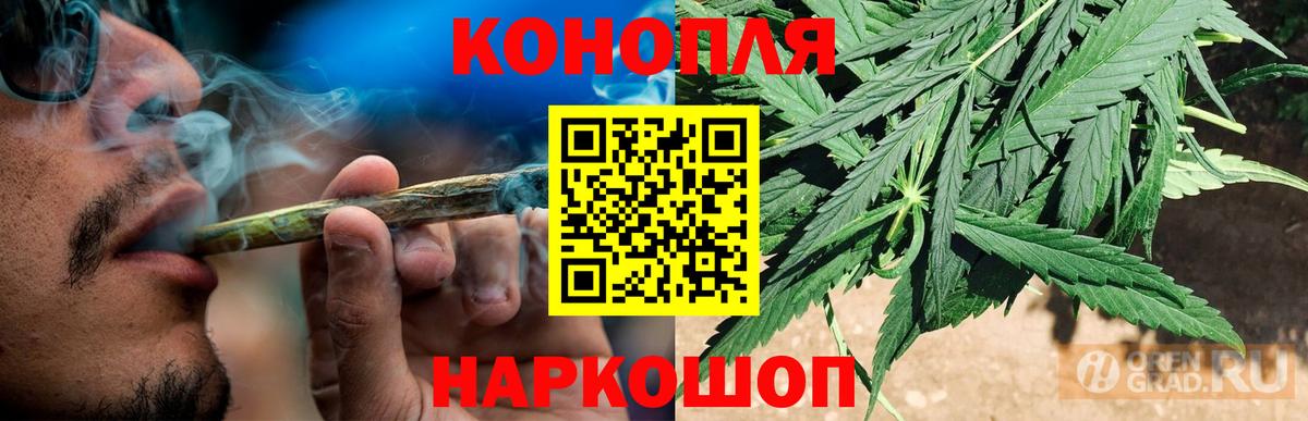 Энгельс  Бошки Шишки White Widow  Бошки Шишки конопля  Вход с VPN  Конопля планчик 